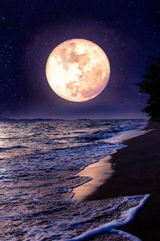 Lunar Serenade 🌕✨