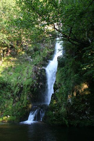 Nature's Symphony: The Cascada Experience 🌊🍃
