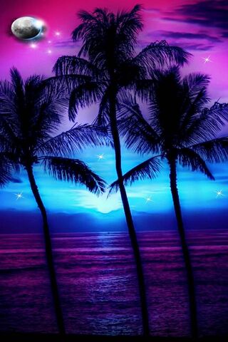 Tropical Twilight Bliss 🌴🌅