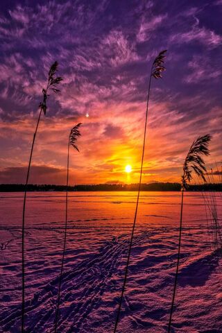 Beauty Of Nature