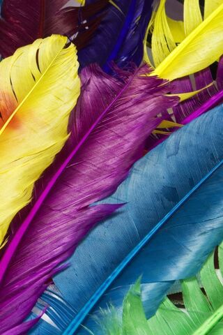 Vibrant Whispers of Nature 🌈