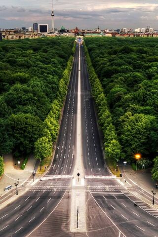 Urban Oasis: A Green Escape in the City