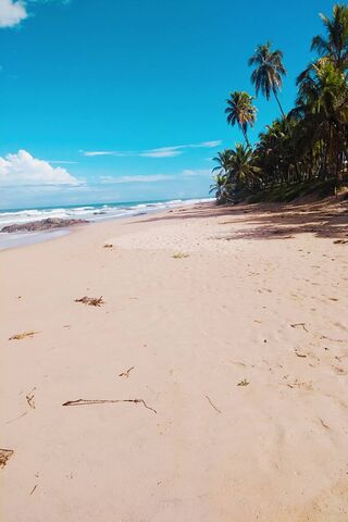 Praia De Busca Vida