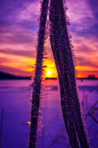 Frozen Serenity: A Winter's Embrace ❄️🌅