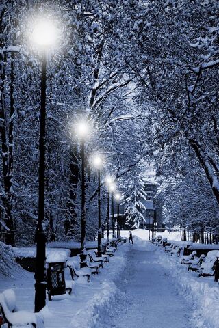 Enchanted Winter Pathway ❄️✨