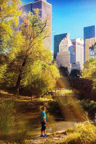 Golden Rays in the Heart of the City 🌞🌳