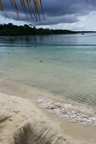 Serenity at Boca Del Toro 🌊🌴