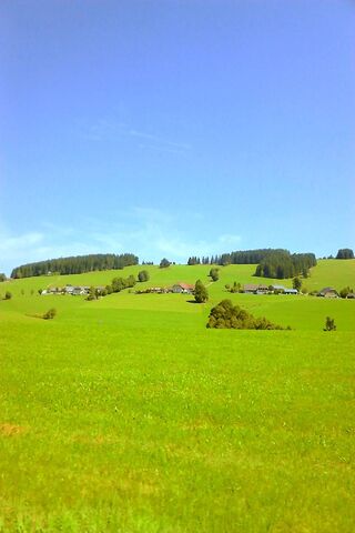 Serenity in the Green: A Picturesque Estate 🌳🏡