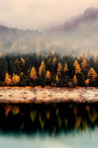 Whispers of Autumn: Nature's Golden Embrace 🍂✨