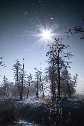 Winter's Embrace: A Cel..