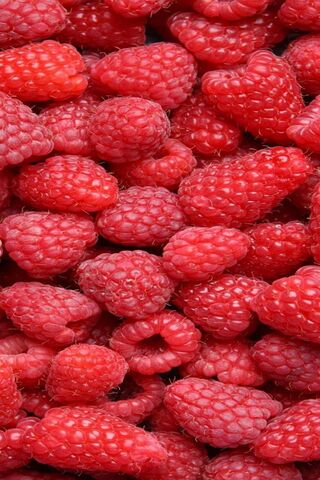 Berry Bliss: A Raspberry Wonderland 🍇✨