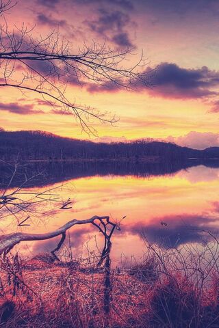 Twilight Reflections 🌅