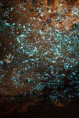 Mystical Luminescence: The Enchantment of Cave Glow