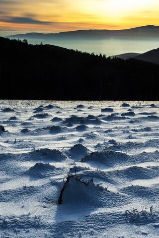 Winter's Whisper: A Serene Snowy Landscape