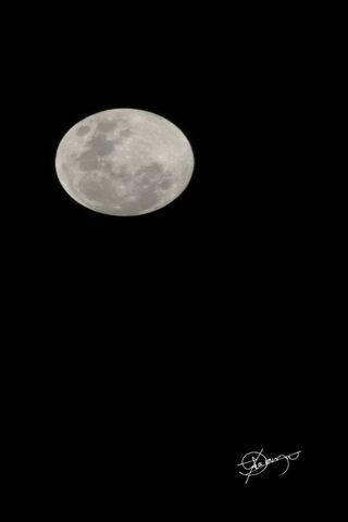 Luminous Night: The Full Moon's Embrace 🌕✨