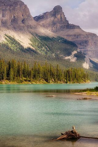 Nature's Masterpiece: Montagne Natura 🌲🏞️