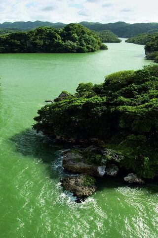 Serene Green Oasis: Nature's Masterpiece 🌿🌊