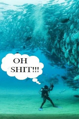 Underwater Surprise! 🐟🌊