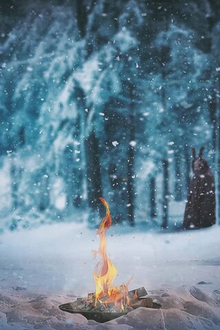 Whispers of Winter: A Cozy Fire in the Snowy Forest ❄️🔥