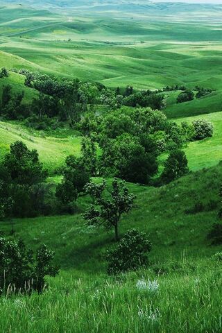 Emerald Serenity: The V..