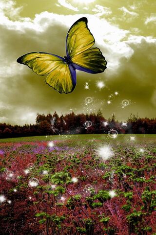 Whispers of the Wild 🌼🦋