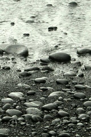 Pebbles by the Shore 🌊✨