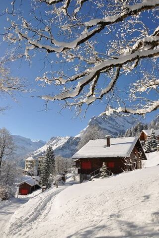 Winter Wonderland Retreat ❄️🏔️