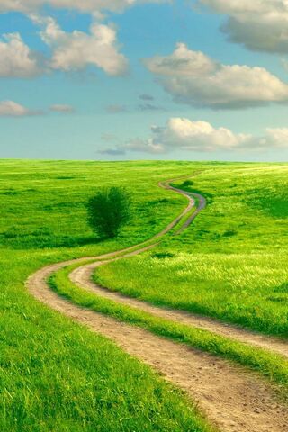 Winding Path Through Na..