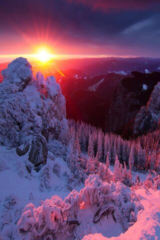 Dawn's Embrace: A Mount..