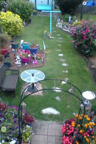 Garden Oasis: A Slice of Serenity 🌼🌿