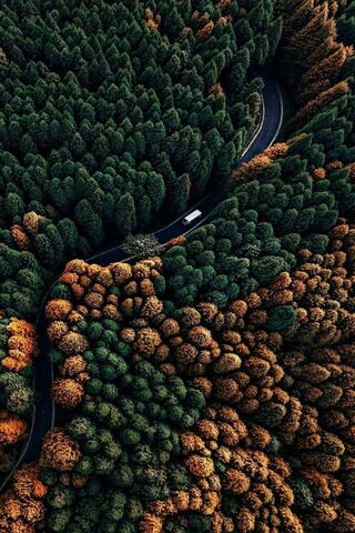 Natureza