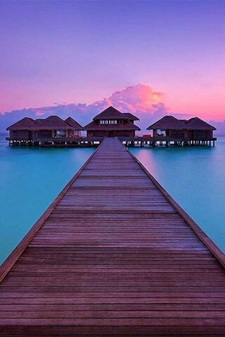 Serenity at Sunset: The..