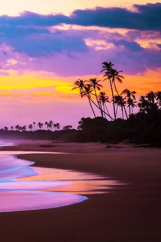 Sunset Serenity at the ..