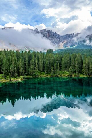 Tranquil Reflections in Nature 🌲💧