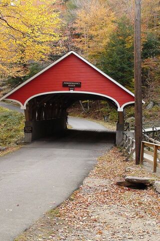 Autumn Serenity at the ..