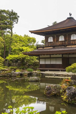 Tranquil Reflections: A Serene Escape 🌿🏯