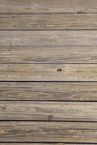 Nature's Canvas: The Beauty of Wooden Boards 🌲✨