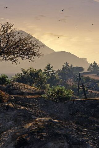 Doga: Nature's Serenity at Dusk 🌄