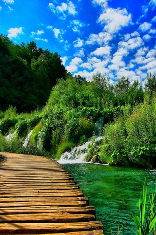 Serenity on Nature's Pa..
