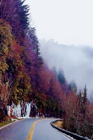 Autumn's Embrace: A Scenic Drive Through Fall Foliage 🍂🚗