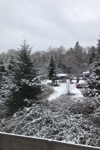 Winter Wonderland Escape ❄️🏞️