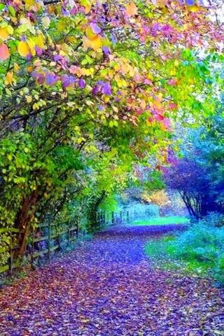 Whispers of Autumn: A C..