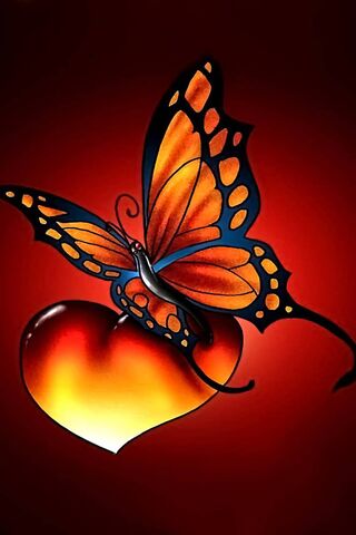 Firey Butterfly