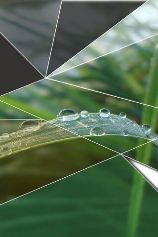 Nature's Crystal Gems: The Waterdrop Wonder 💧✨