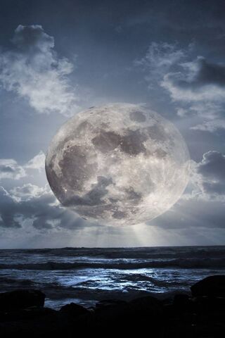 Lunar Serenity: A Night..