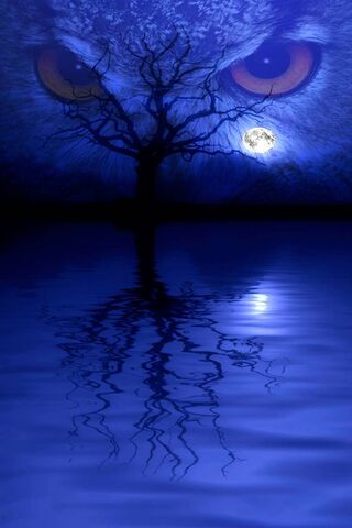 Mystical Nightfall: Nat..