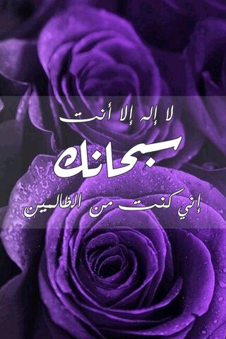 Purple Rose Islamique Fond D Ecran Telecharger Sur Votre Mobile Depuis Phoneky