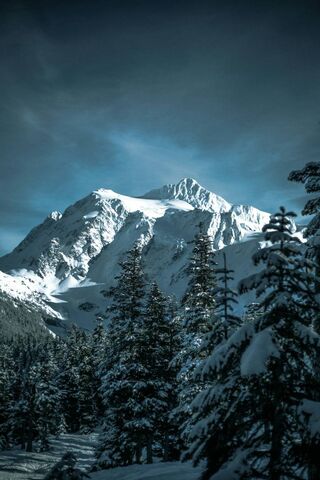 Whispers of Winter: A Snowy Majesty ❄️🏔️