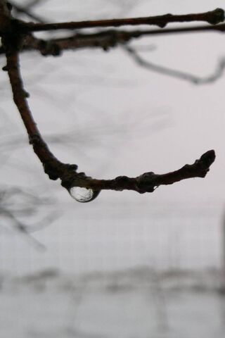 Nature's Crystal: The Raindrop's Dance