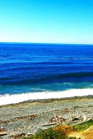 Serenity by the Shore 🌊